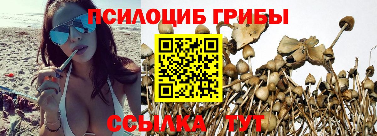Псилоцибиновые грибы мицелий  Вход с VPN  Минусинск 