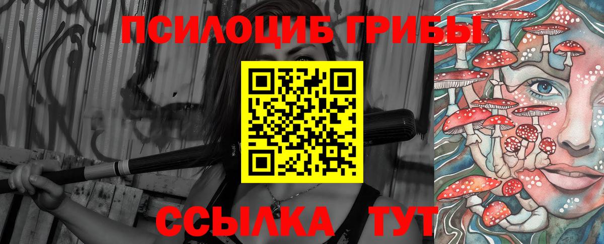 Псилоцибиновые грибы Cubensis Минусинск